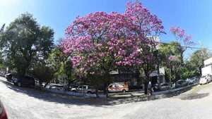 Ola de calor: Localidad chaqueña superó los 43° y Meteorología anuncia frente frío