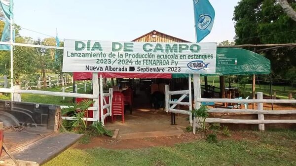 Nueva Alborada: buscan exportar pescado ante crecimiento del rubro acuícola - Nacionales - ABC Color