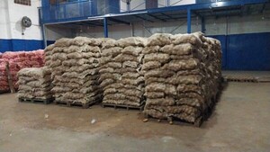 Incautan 25.000 kilos de papas de presunto contrabando