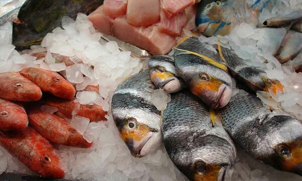 Amputan pierna a mujer por comer pescado crudo en mal estado