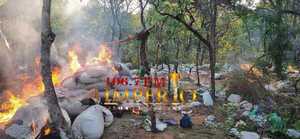 Antinarcóticos destruyó 1.700 kilos de marihuana en Capitán Bado - Radio Imperio 106.7 FM