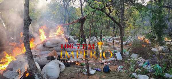 Antinarcóticos destruyó 1.700 kilos de marihuana en Capitán Bado - Radio Imperio 106.7 FM