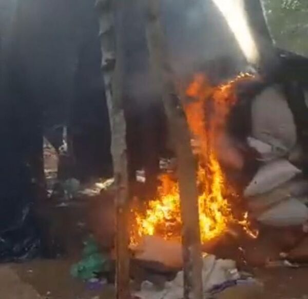 Antinarcóticos destruyó 1.700 kilos de marihuana en Capitán Bado