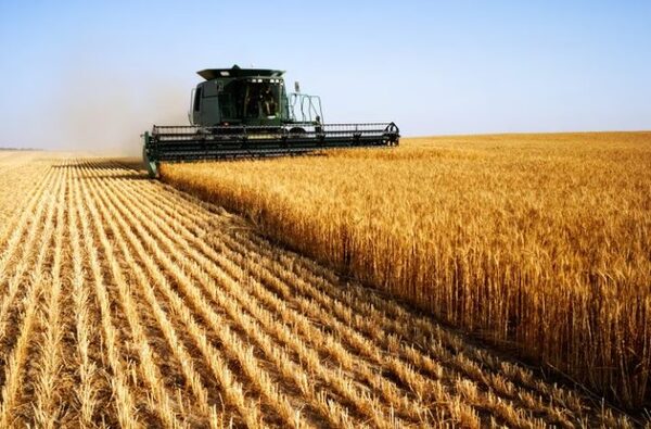 El Chaco sorprende por su desarrollo agrícola - La Tribuna