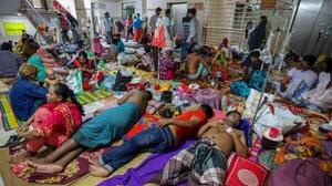 Casi 950 muertos por dengue en Bangladesh mientras la epidemia se extiende al campo