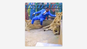 Diario HOY | VIDEO| Pastor recrea una historia bíblica y se mete en una celda con leones