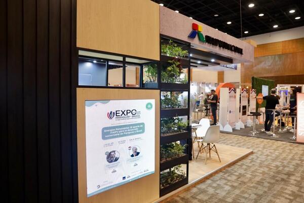 Rueda de negocios de la Expo Paraguay Brasil generó expectativa comercial de USD 192 millones - MarketData
