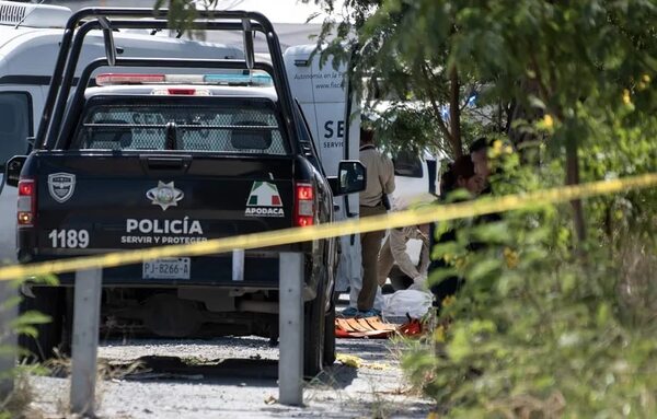 Horror en México: tras aparición de 12 cuerpos mutilados, envían  100 soldados a Nuevo León - Mundo - ABC Color