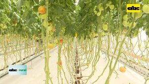 Video: ubicación de invernadero automatizado y luminosidad - ABC Rural - ABC Color
