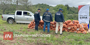 UNA TONELADA Y MEDIA DE CEBOLLAS FUERON DECOMISADAS EN NATALIO - Itapúa Noticias