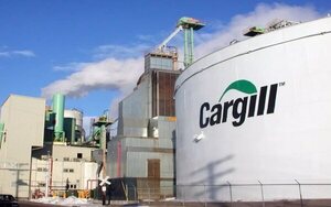 Multinacional estadounidense Cargill es condenada en Brasil por trabajo esclavo e infantil - Revista PLUS
