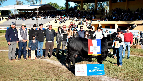 Campeones de cuatro patas y portadores de una genética que vale millones (aquí, los premiados)