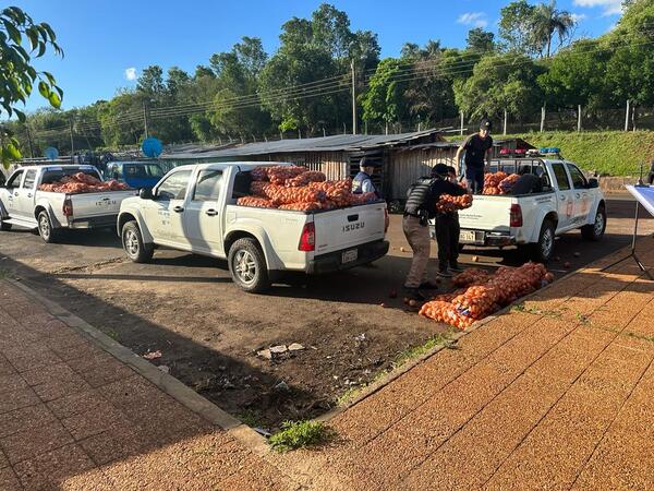 INCAUTARON DOS TONELADAS DE CEBOLLAS EN ENCARNACIÓN - Itapúa Noticias