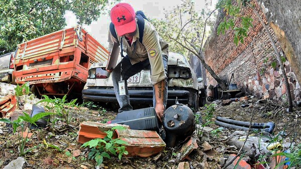 Salud emite alerta ante inminente brote de dengue y chikungunya