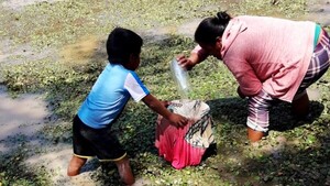 Boquerón: Indígenas usan ropas para filtrar el agua con barro que beben