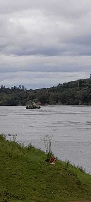 Ordenan liberar a los paraguayos retenidos por Armada Argentina