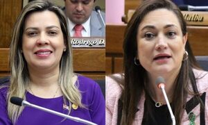 Diputadas altoparanaenses debaten en el Parlatino sobre “Oficinas del futuro” y “Migración regional” – Diario TNPRESS