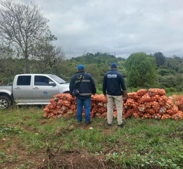 DECOMISAN BOLSAS DE CEBOLLA DE PRESUNTO CONTRABANDO EN ENCARNACIÓN Y NATALIO