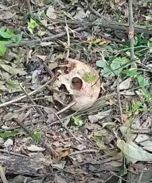 Sospechan que cráneo podría pertenecer a un hombre fallecido en el 2004