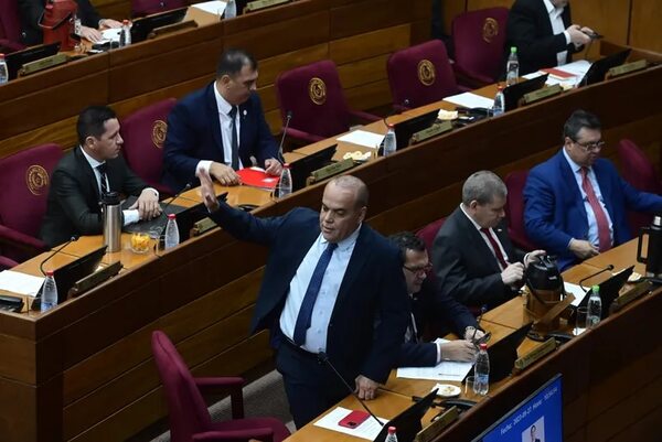 Bachi afirma que el Ministerio de Defensa está de acuerdo con el “despojo” de valiosas tierras - Nacionales - ABC Color