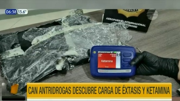 Can antidrogas frustra envío de estupefacientes a Chile - Noticias Paraguay