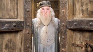 A sus 82 años, muere Sir Michael Gambon, actor de la saga de Harry Potter - Unicanal