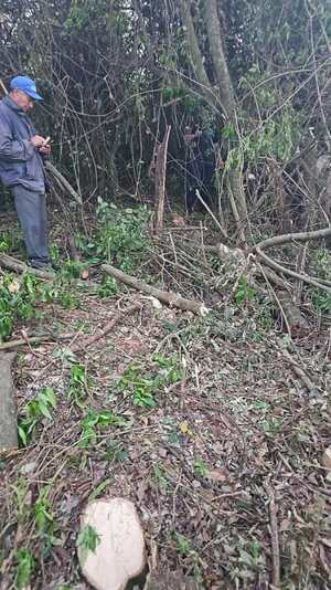 HALLAN CRÁNEO HUMANO EN UN PATIO BALDÍO DE ENCARNACIÓN