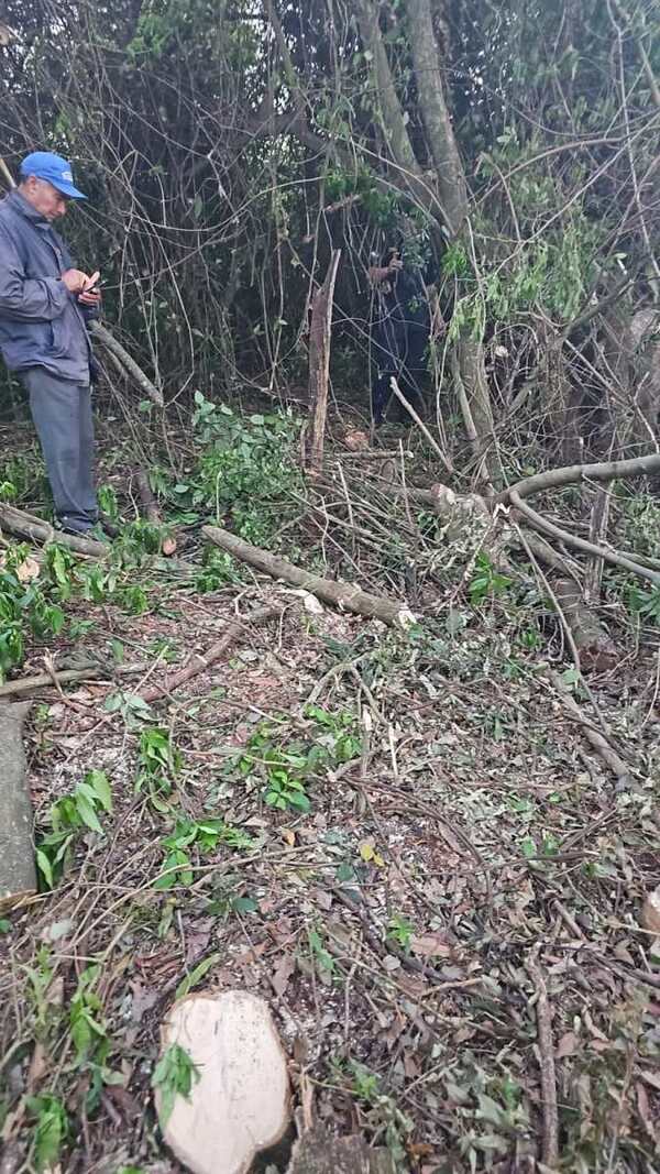 HALLAN CRÁNEO HUMANO EN UN PATIO BALDÍO DE ENCARNACIÓN