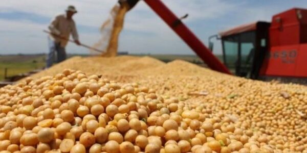 Sector agroindustrial registra pérdida de US$ 11 millones por peaje en Hidrovía, según CAPPRO