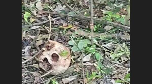 Limpiaban un yuyal y ¡encontraron un cráneo!