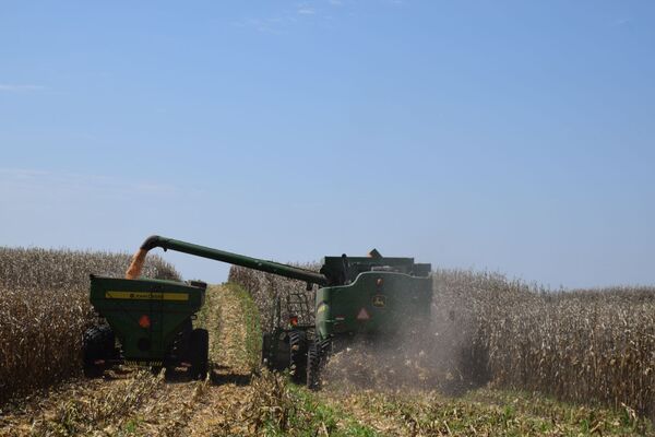 Con gran impulso del agro, economía creció 5,4 % en 1.er semestre