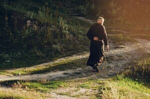 La ecología nace de la contemplación de Dios y su creación - Portal Digital Cáritas Universidad Católica