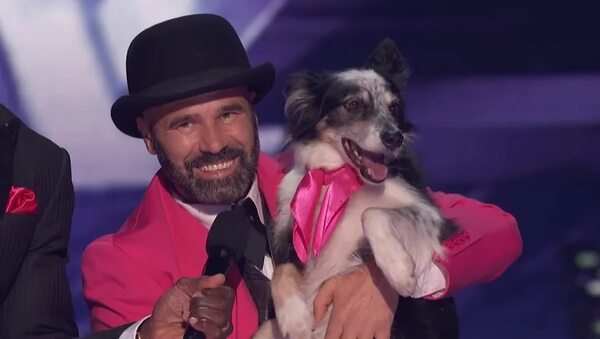 Video: Enterate cómo se llama el perro que ganó USD 1.000.000 en America’s Got Talent - Mascotas - ABC Color