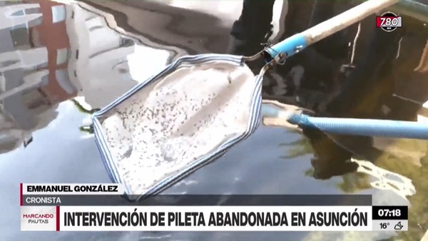 Intensifican intervenciones a patios baldíos y piscinas, ante aumento de casos de dengue - Megacadena