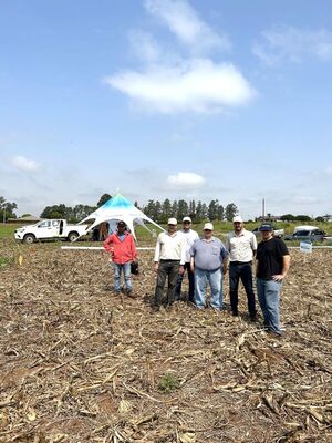 Día de Campo Rizobacter: Alternativas para una desecación eficiente
