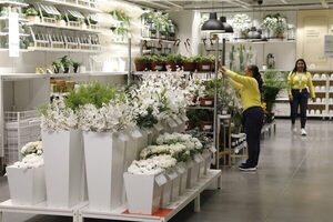 Ikea abre en Bogotá su primera tienda en Colombia - MarketData