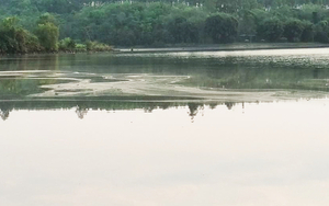Piden que se investigue supuesta contaminación del lago Acaray - La Clave