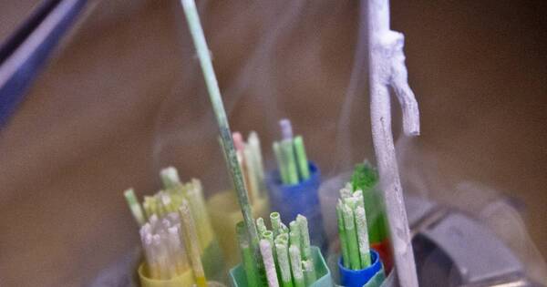 La Nación / Perú aprobó ingreso de semen bovino paraguayo