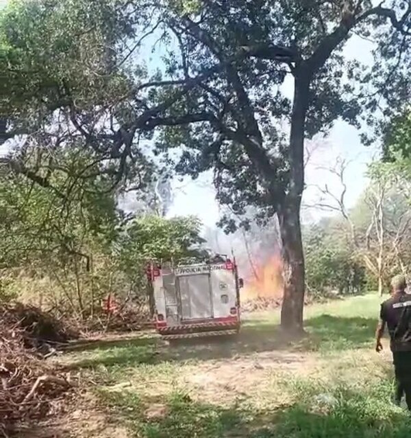 Video: principio de incendio en el Jardín Botánico - Nacionales - ABC Color
