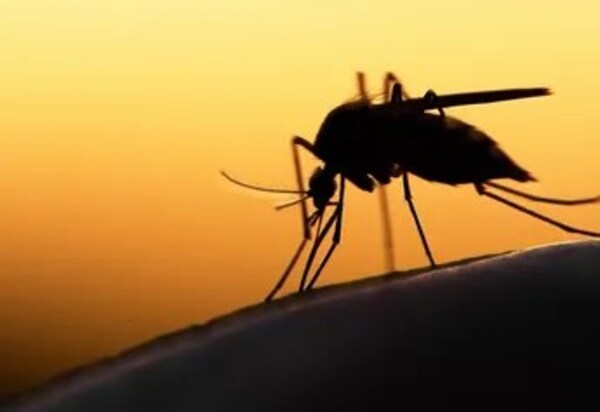 CASOS DE ARBOVIROSIS SIGUEN PREOCUPANDO AL SECTOR SANITARIO EN ITAPÚA