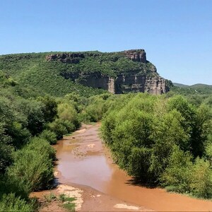 El Gobierno de México denuncia riesgos a la salud por derrame de minera en el río Sonora - MarketData