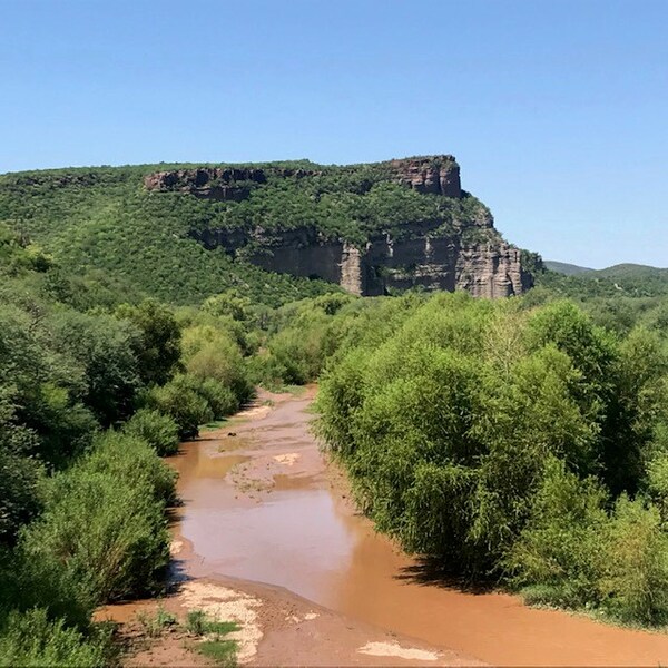 El Gobierno de México denuncia riesgos a la salud por derrame de minera en el río Sonora - MarketData