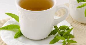 La Nación / ¿Cuáles son los beneficios de consumir té de cedrón?