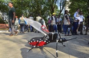 Estrategias del Senepa para controlar los arbovirus  - Nacionales - ABC Color