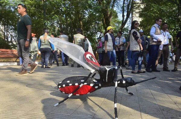 Estrategias del Senepa para controlar los arbovirus - Nacionales - ABC Color
