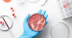 La Nación / Dictamen a favor de iniciativa que prohíbe producir, comercializar e importar carne sintética