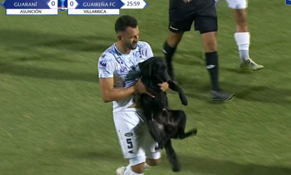 (VIDEO). Un simpático firulais paró el partido entre Guaraní y Guaireña por unos minutos