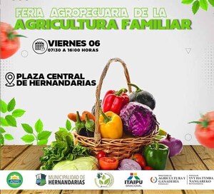 Preparan Feria Agropecuaria de la Agricultura Familiar a desarrollarse en Hernandarias | DIARIO PRIMERA PLANA