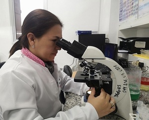 Salud Pública anuncia habilitación de más laboratorios en USF de Itapúa