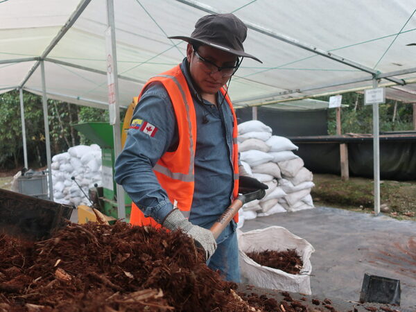El "océano de conocimiento" que la Amazonía de Ecuador alberga entre plantas y semillas - MarketData